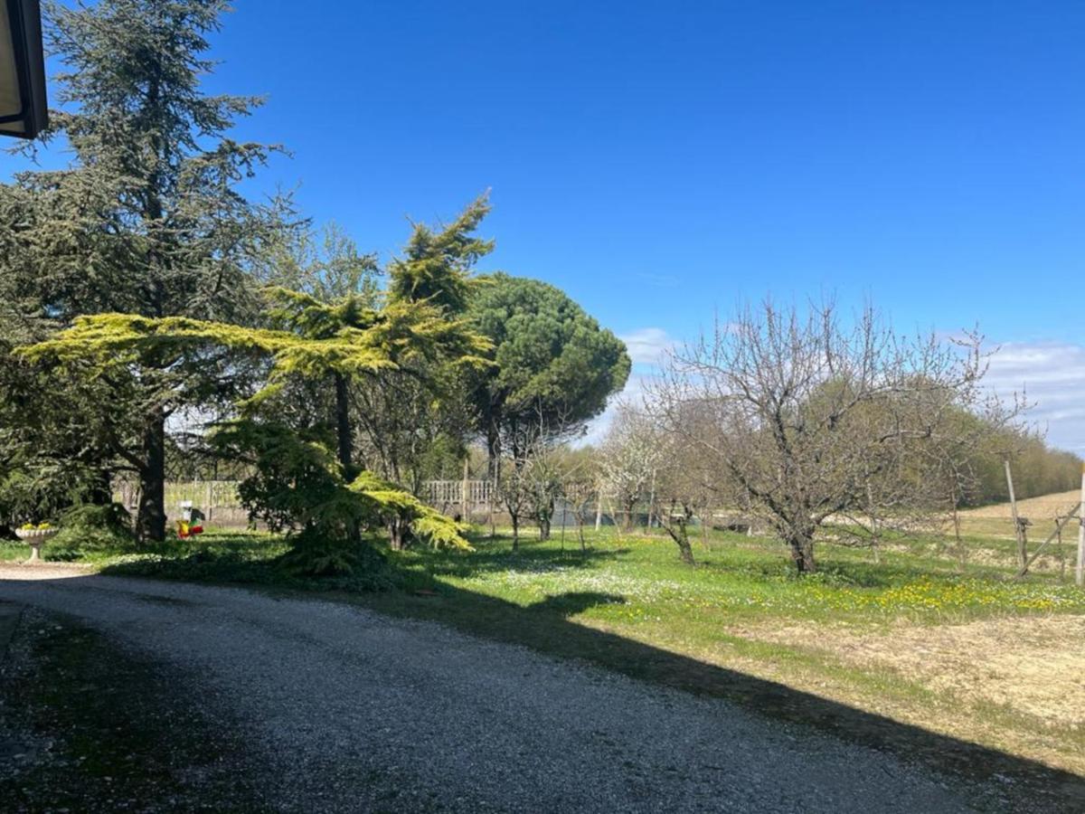 B&B Airport Venice Diego 테세라 외부 사진