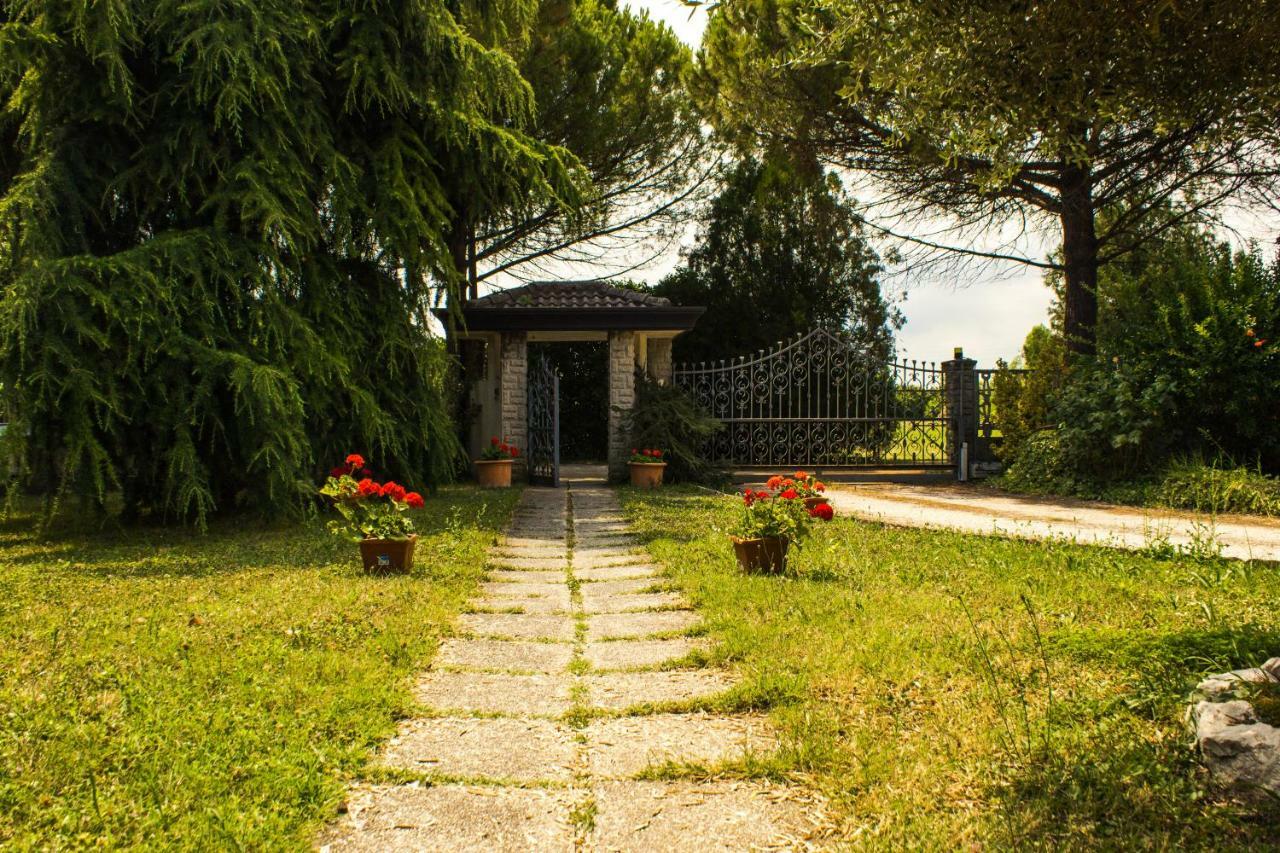B&B Airport Venice Diego 테세라 외부 사진